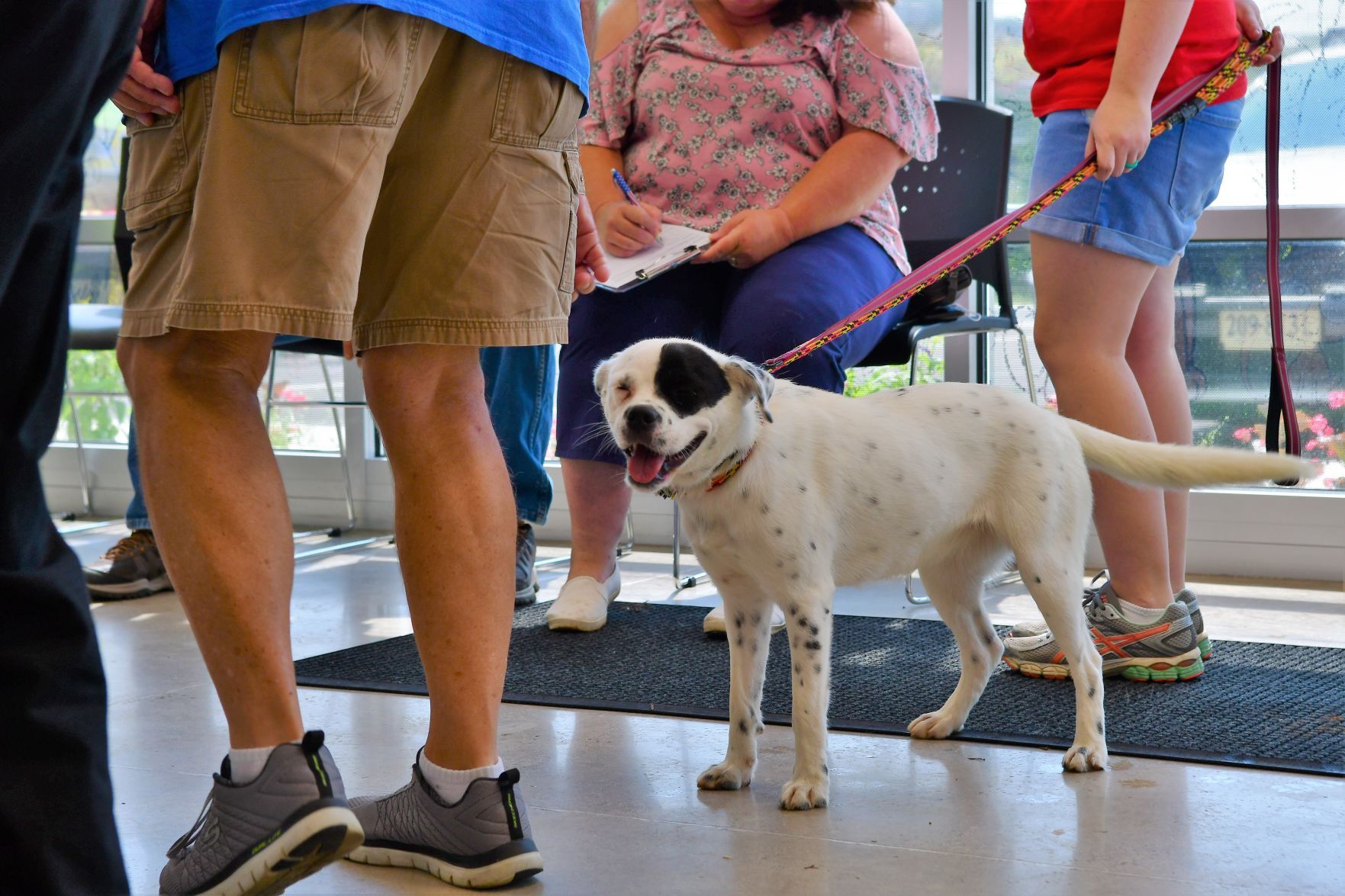Franklin County Animal Shelter grand opening